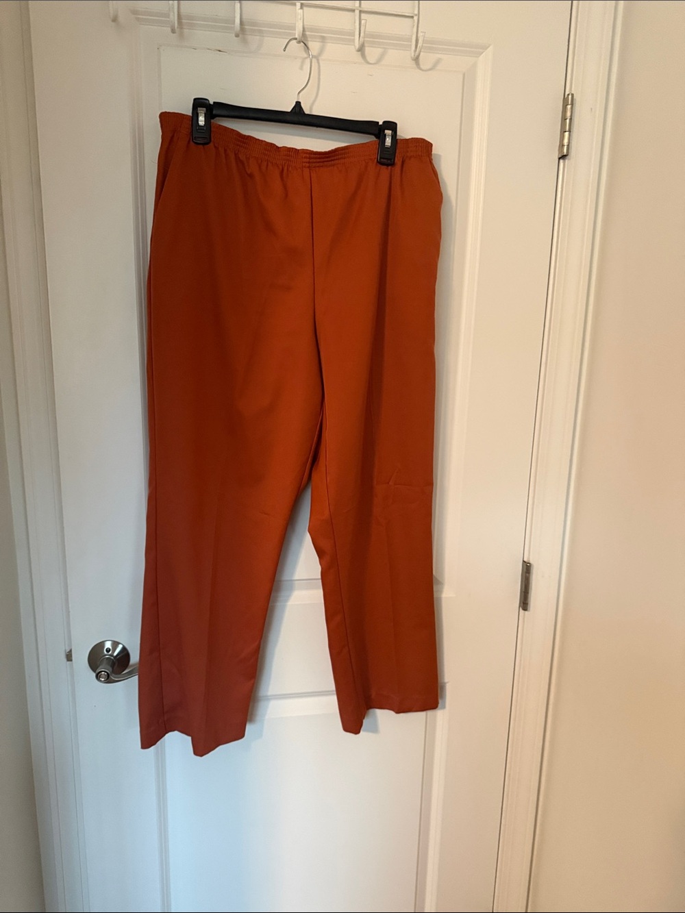 Alfred Dunner Wide-Leg Pants in Rust